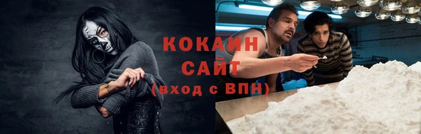 ешки Алексин