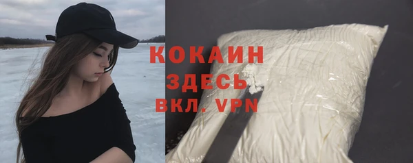 ешки Алексин