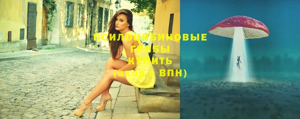 МДПВ Алексеевка
